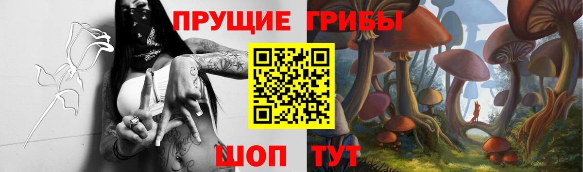 закладки  Псилоцибиновые грибы Psilocybe  Вход с VPN  Кызыл  Псилоцибиновые грибы Magic Shrooms 